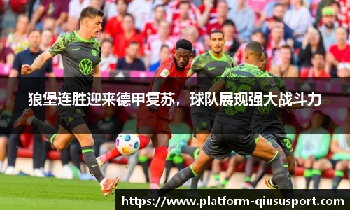 球速体育官方入口